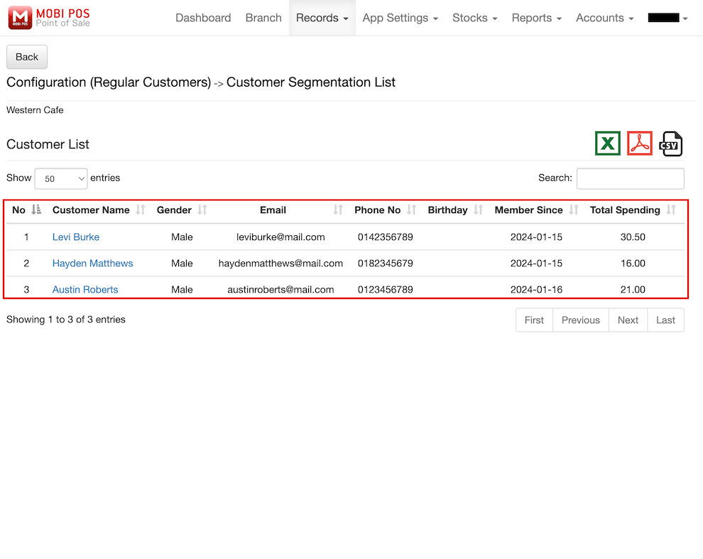 mobi-pos customer segmentation list