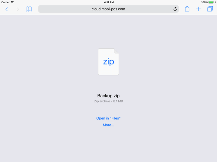 pos system cloud backup zip file settings